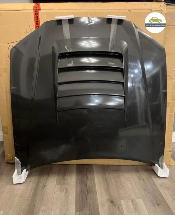 r34 carbon fiber hood, nissan skyline r34 carbon fiber hood, r34 gtr carbon fiber hood, r34 carbon fiber hood oem, red r34 with carbon fiber hood, r34 gtr bonnet, r34 bonnet, r34 bonnet lip, r34 z tune bonnet, r34 carbon bonnet, r34 gtr carbon bonnet, r34 gtr z tune bonnet, r34 gtt bonnet, r34 gtt vented bonnet, r34 skyline bonnet, east bear r34 bonnet, nissan skyline r34 carbon fibre bonnet, r34 blitz bonnet, r34 bonnet damper, r34 bonnet for sale, r34 bonnet insulation, r34 bonnet perth, r34 bonnet scoop, r34 bonnet strut, r34 bonnet struts, r34 carbon fibre bonnet, r34 gtr bonnet damper r34 gtr bonnet dimensions r34 gtr bonnet for sale, r34 gtr bonnet hinges, r34 gtr bonnet hinges for sale, r34 gtr bonnet latch, r34 gtr bonnet on a gtt, r34 gtr bonnet on gtt, r34 gtr bonnet seal, r34 gtr bonnet stay, r34 gtr bonnet struts, r34 gtr bonnet vent, r34 gtr carbon fibre bonnet, r34 gtr nismo bonnet, r34 gtr r tune bonnet, r34 gtr v spec 2 bonnet, r34 gtr white bonnet, r34 gtt carbon bonnet, r34 gtt carbon fibre bonnet, r34 gtt gtr bonnet, r34 gtt z tune bonnet, r34 nismo bonnet, sale r34 gtr bonnet, seibon r34 gtr bonnet,